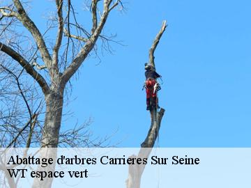 Abattage d'arbres  carrieres-sur-seine-78420 WT espace vert 