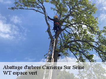 Abattage d'arbres  carrieres-sur-seine-78420 WT espace vert 