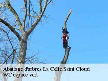 Abattage d'arbres  la-celle-saint-cloud-78170 WT espace vert 