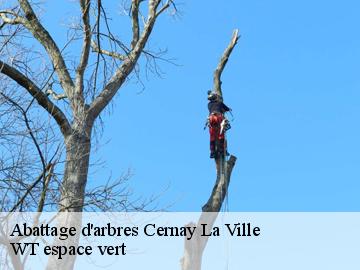 Abattage d'arbres  cernay-la-ville-78720 WT espace vert 