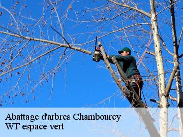 Abattage d'arbres  chambourcy-78240 WT espace vert 