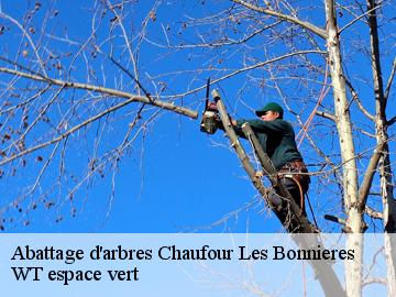 Abattage d'arbres  chaufour-les-bonnieres-78270 WT espace vert 