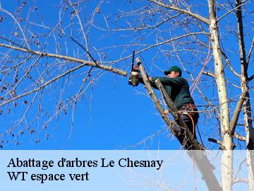 Abattage d'arbres  le-chesnay-78150 WT espace vert 