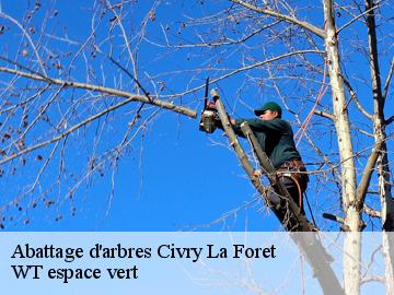 Abattage d'arbres  civry-la-foret-78910 WT espace vert 