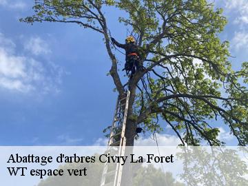 Abattage d'arbres  civry-la-foret-78910 WT espace vert 