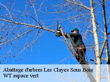 Abattage d'arbres  les-clayes-sous-bois-78340 WT espace vert 