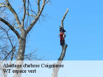 Abattage d'arbres  coignieres-78310 WT espace vert 