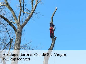 Abattage d'arbres  conde-sur-vesgre-78113 WT espace vert 