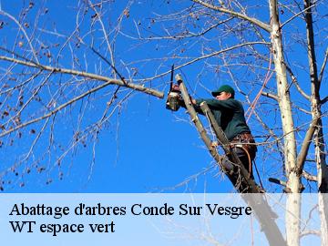 Abattage d'arbres  conde-sur-vesgre-78113 WT espace vert 