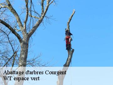 Abattage d'arbres  courgent-78790 WT espace vert 