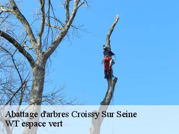 Abattage d'arbres  croissy-sur-seine-78290 WT espace vert 