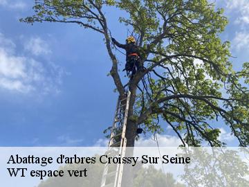 Abattage d'arbres  croissy-sur-seine-78290 WT espace vert 