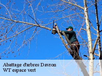 Abattage d'arbres  davron-78810 WT espace vert 