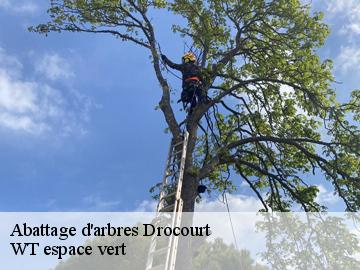 Abattage d'arbres  drocourt-78440 WT espace vert 