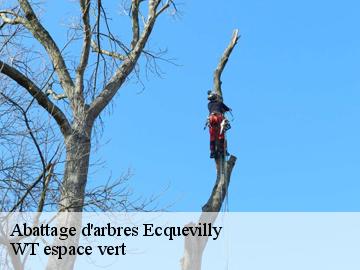 Abattage d'arbres ecquevilly-78920 WT espace vert