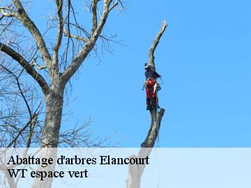 Abattage d'arbres  elancourt-78990 WT espace vert 