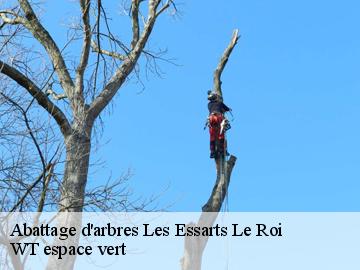 Abattage d'arbres  les-essarts-le-roi-78690 WT espace vert 