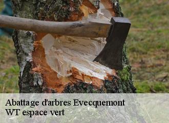 Abattage d'arbres  evecquemont-78740 WT espace vert 