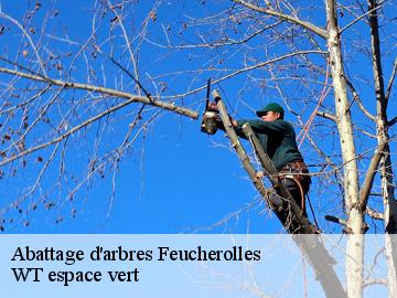 Abattage d'arbres  feucherolles-78810 WT espace vert 