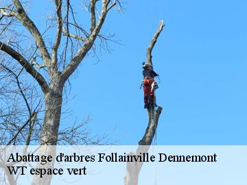 Abattage d'arbres  follainville-dennemont-78520 WT espace vert 