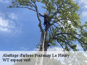 Abattage d'arbres  fontenay-le-fleury-78330 WT espace vert 