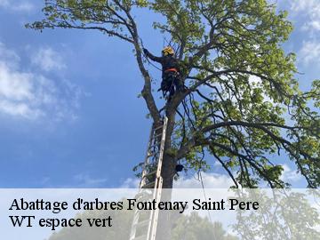 Abattage d'arbres  fontenay-saint-pere-78440 WT espace vert 