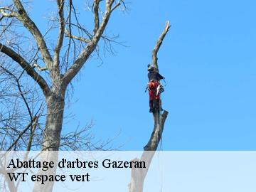 Abattage d'arbres  gazeran-78125 WT espace vert 