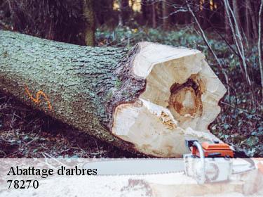 Abattage d'arbres  gommecourt-78270 Archange Paysagiste 78