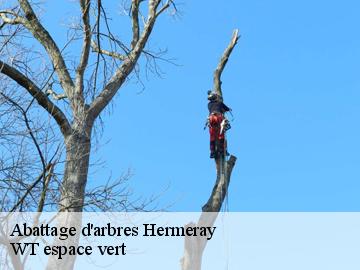 Abattage d'arbres  hermeray-78125 WT espace vert 