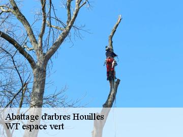 Abattage d'arbres  houilles-78800 WT espace vert 