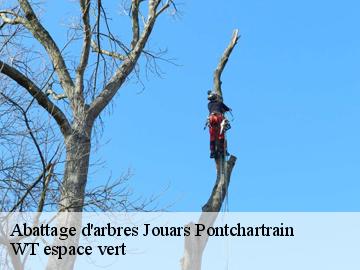 Abattage d'arbres  jouars-pontchartrain-78760 WT espace vert 