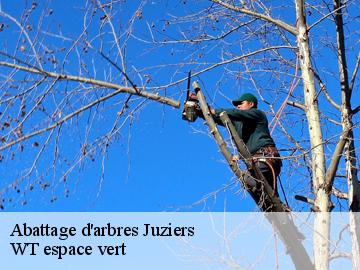 Abattage d'arbres  juziers-78820 WT espace vert 