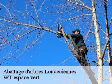 Abattage d'arbres  louveciennes-78430 WT espace vert 