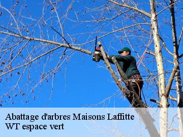 Abattage d'arbres  maisons-laffitte-78600 WT espace vert 