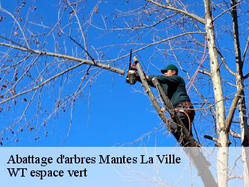 Abattage d'arbres  mantes-la-ville-78200 WT espace vert 