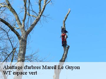 Abattage d'arbres  mareil-le-guyon-78490 WT espace vert 