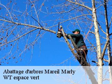 Abattage d'arbres  mareil-marly-78750 WT espace vert 