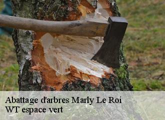 Abattage d'arbres  marly-le-roi-78160 WT espace vert 