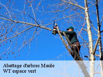 Abattage d'arbres  maule-78580 WT espace vert 