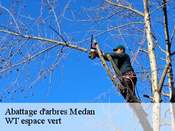 Abattage d'arbres  medan-78670 WT espace vert 