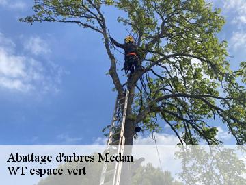 Abattage d'arbres  medan-78670 WT espace vert 