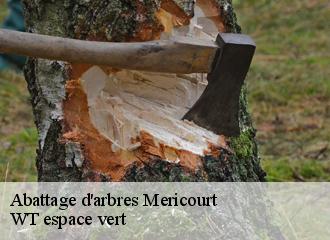 Abattage d'arbres  mericourt-78270 WT espace vert 