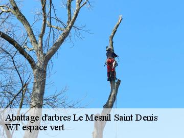 Abattage d'arbres  le-mesnil-saint-denis-78320 WT espace vert 