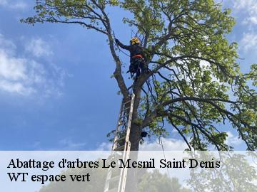 Abattage d'arbres  le-mesnil-saint-denis-78320 WT espace vert 