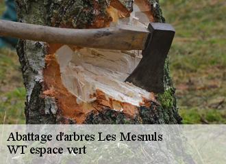 Abattage d'arbres  les-mesnuls-78490 WT espace vert 