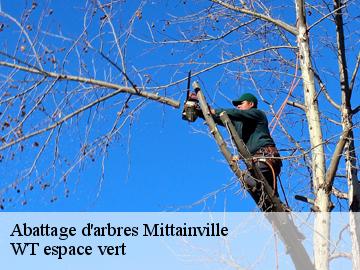 Abattage d'arbres  mittainville-78125 WT espace vert 