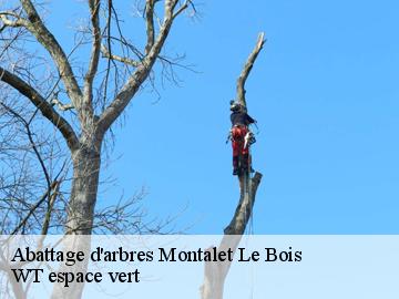 Abattage d'arbres  montalet-le-bois-78440 WT espace vert 