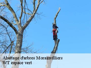 Abattage d'arbres  morainvilliers-78630 WT espace vert 