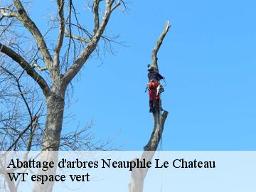 Abattage d'arbres  neauphle-le-chateau-78640 WT espace vert 