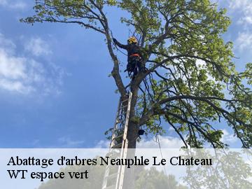 Abattage d'arbres  neauphle-le-chateau-78640 WT espace vert 